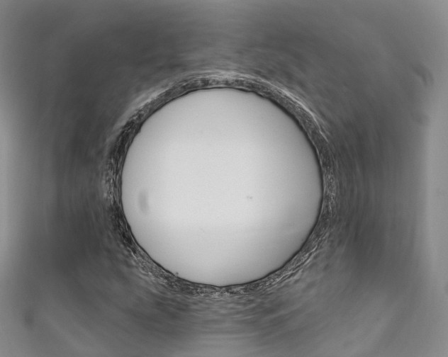 X0000111931207200907271023