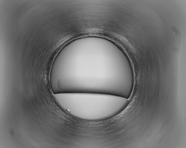 X0000111931209200907271023