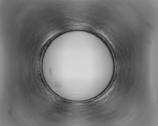 X0000111931211200907271023