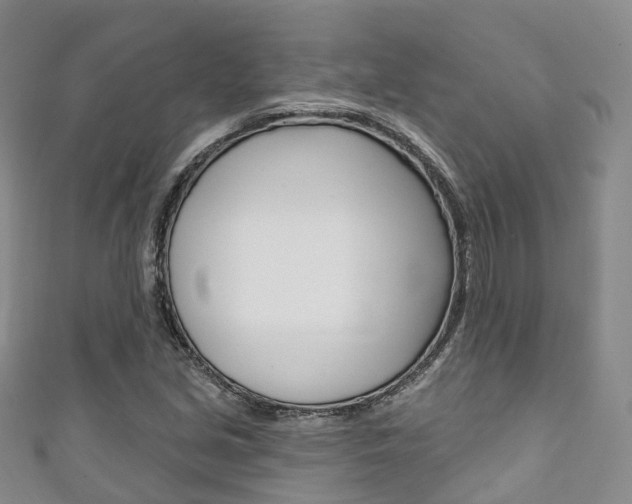 X0000111931213200907271023