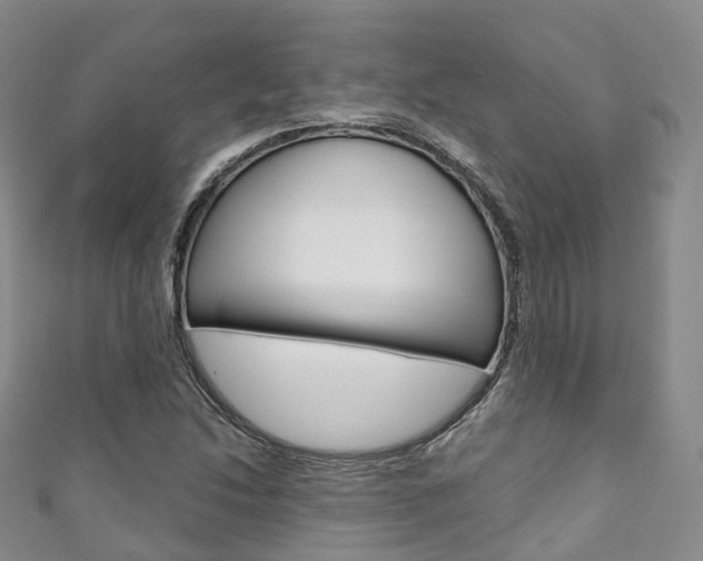 X0000111931214200907271023