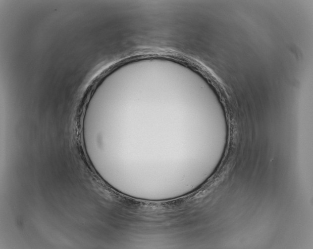 X0000111931215200907271023
