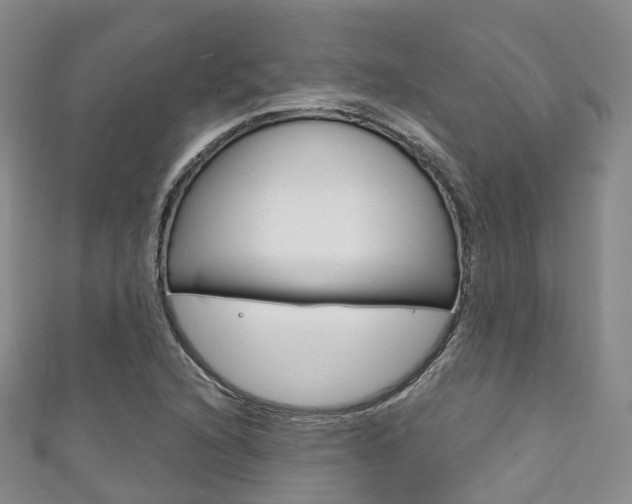 X0000111931216200907271023