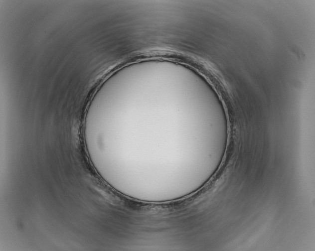 X0000111931217200907271023