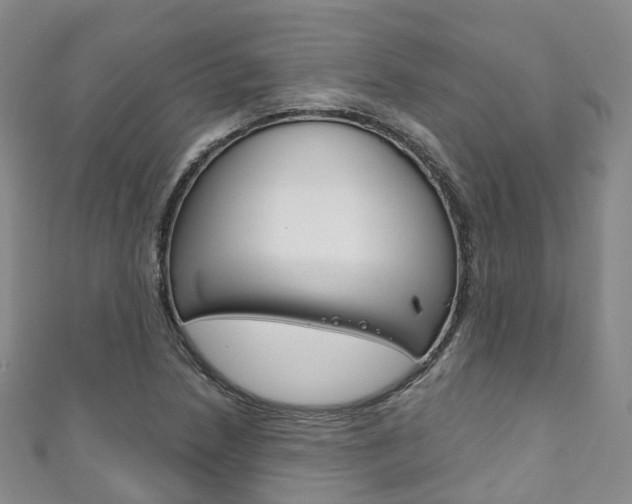 X0000111931218200907271023