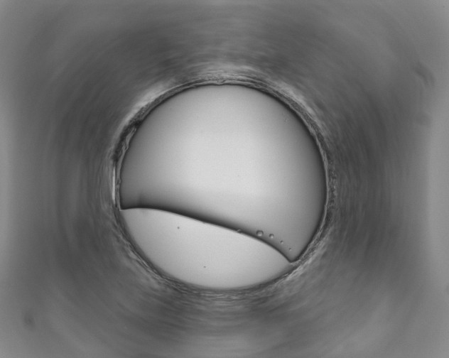 X0000111931219200907271023