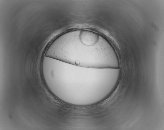 X0000111931221200907271023