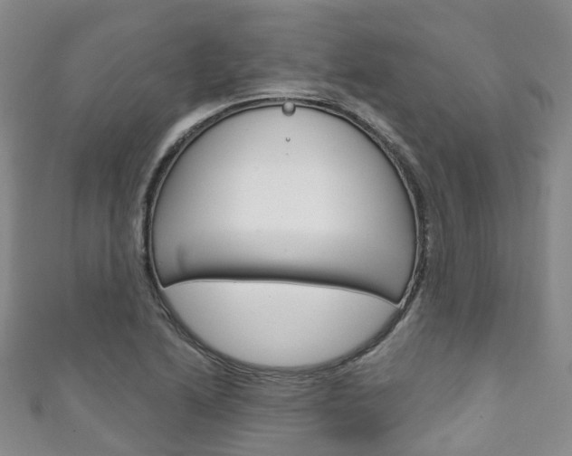 X0000111931222200907271023