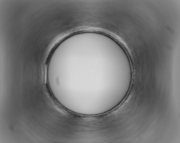 X0000111931223200907271023