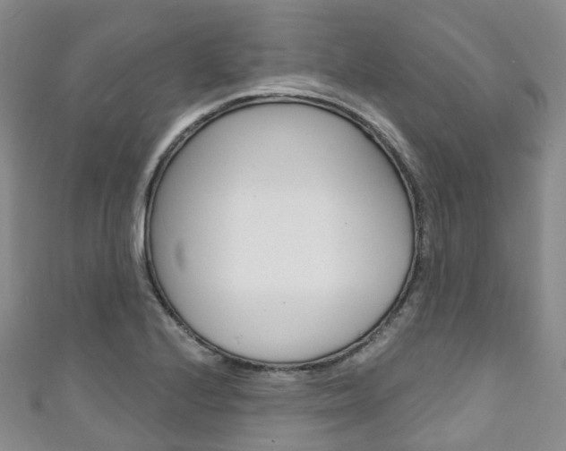 X0000111931224200907271023