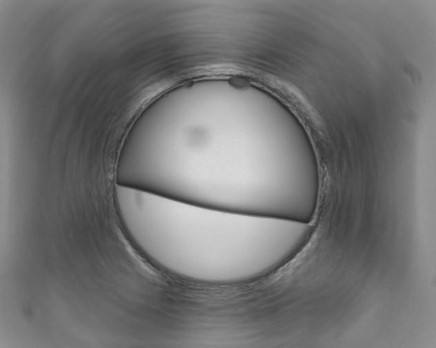 X0000111931225200907271023