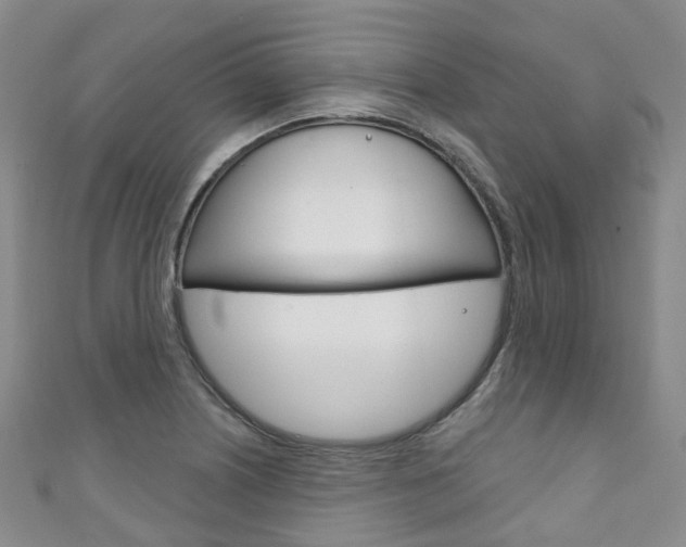 X0000111931226200907271023