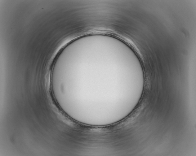 X0000111931227200907271023