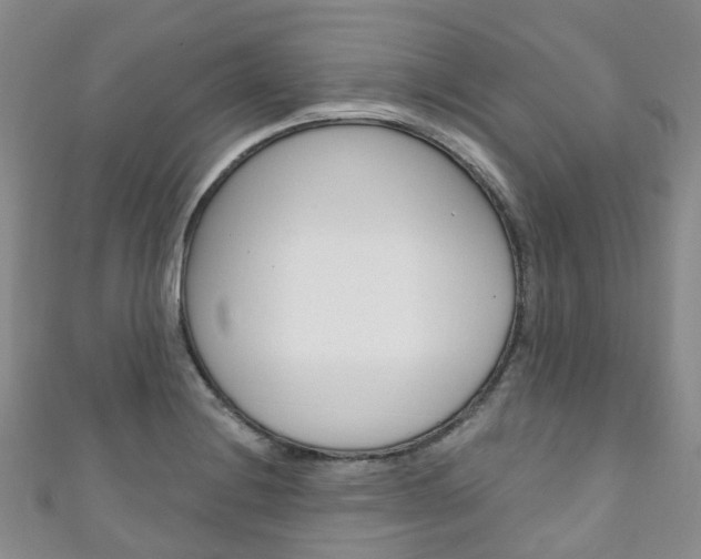 X0000111931228200907271023