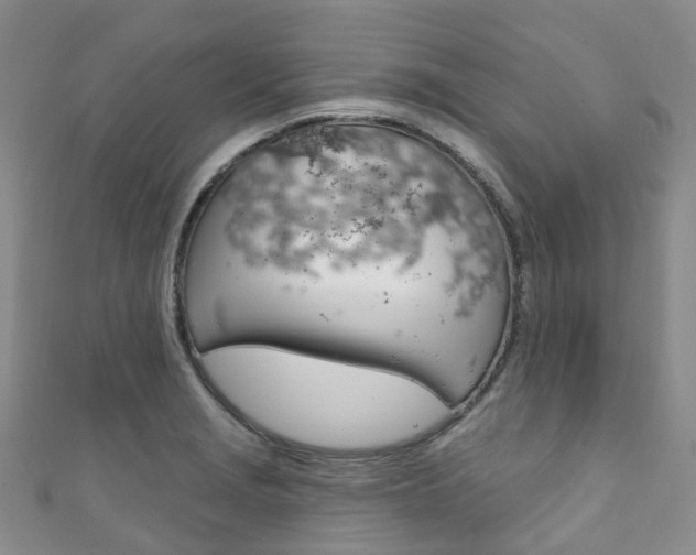 X0000111931229200907271023