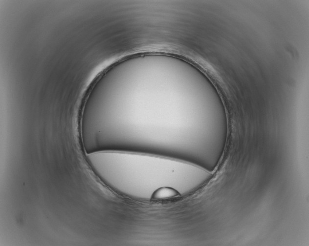 X0000111931230200907271023