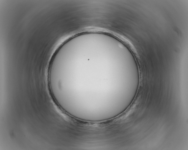X0000111931231200907271023