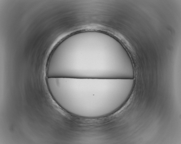 X0000111931232200907271023