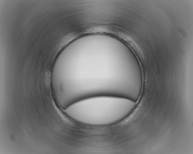 X0000111931233200907271023