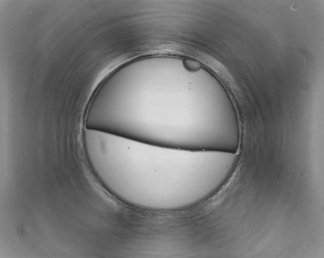 X0000111931234200907271023