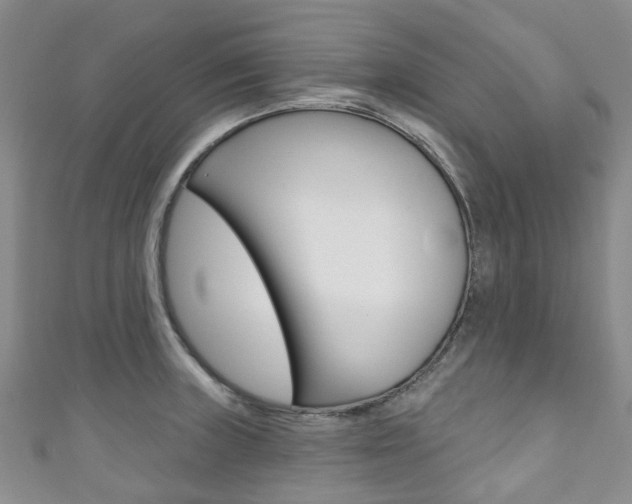 X0000111931235200907271023