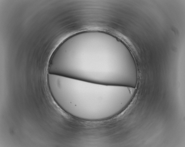 X0000111931236200907271023