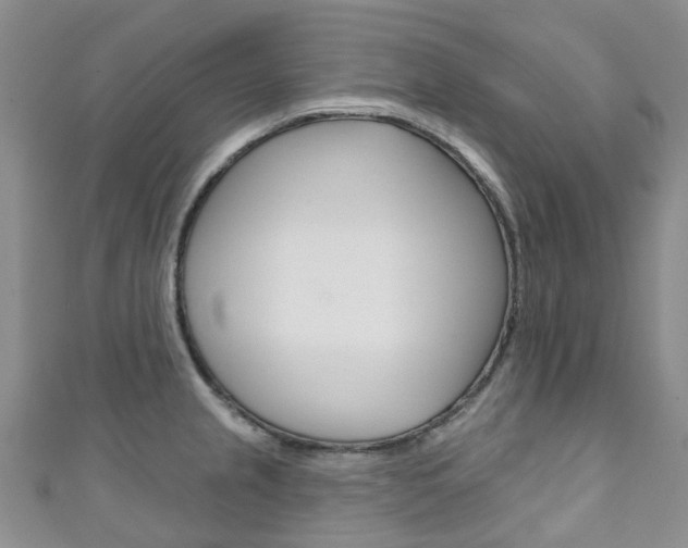 X0000111931237200907271023