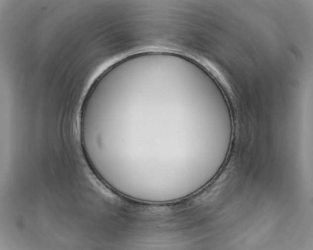 X0000111931238200907271023