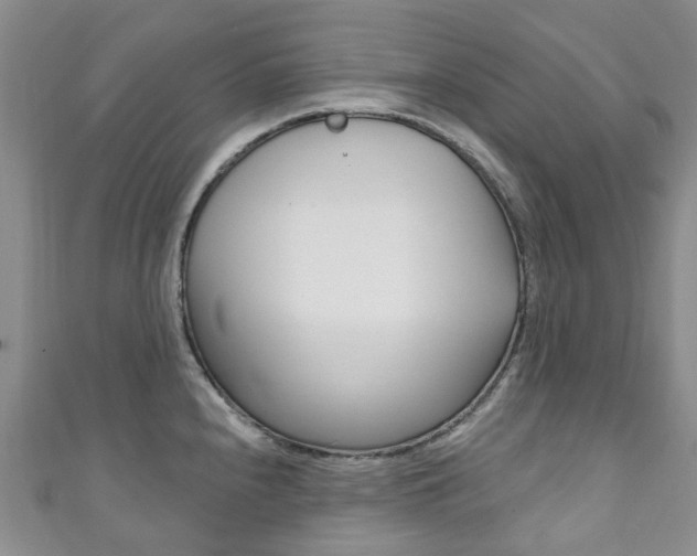 X0000111931240200907271023