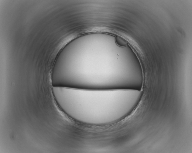 X0000111931241200907271023