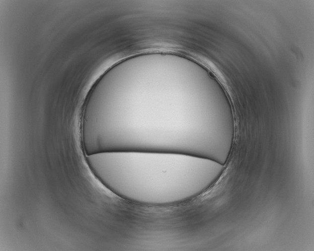 X0000111931243200907271024