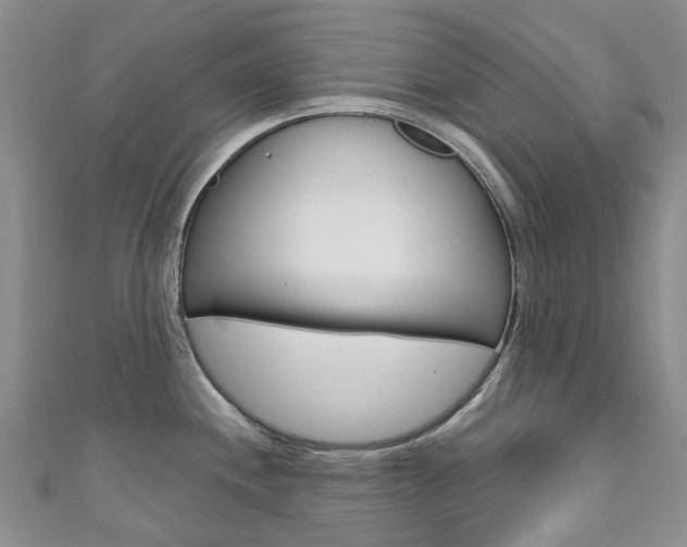 X0000111931244200907271024