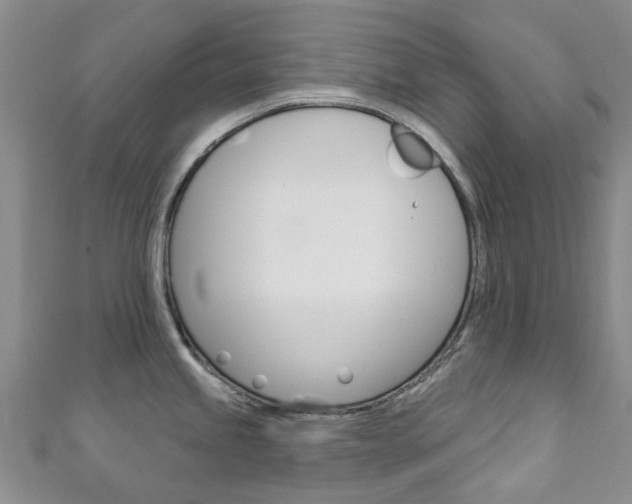 X0000111931245200907271024