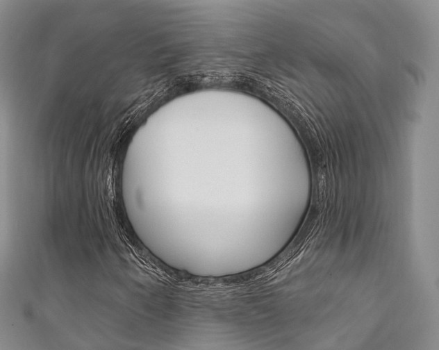X0000111931250200907271023