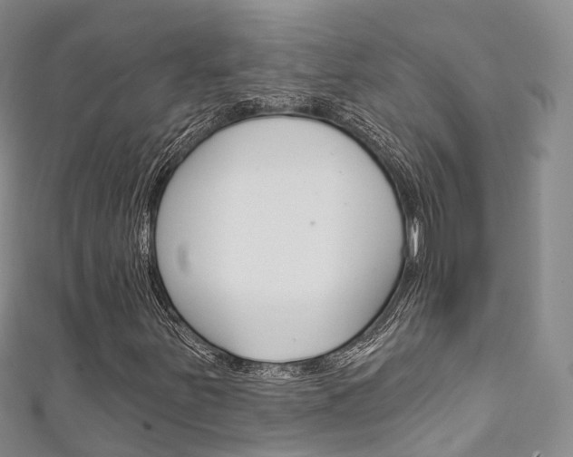 X0000111931251200907271023