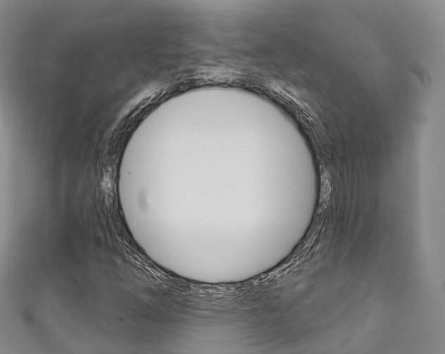 X0000111931254200907271023