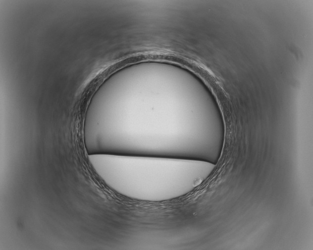 X0000111931255200907271023
