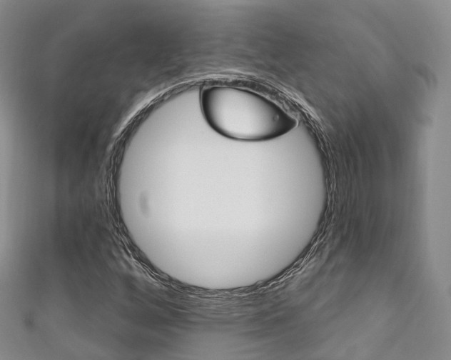 X0000111931256200907271023