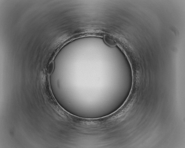 X0000111931257200907271023