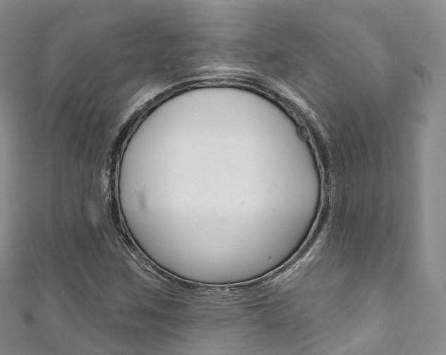 X0000111931259200907271023