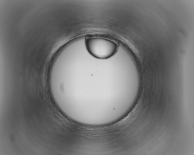 X0000111931261200907271023