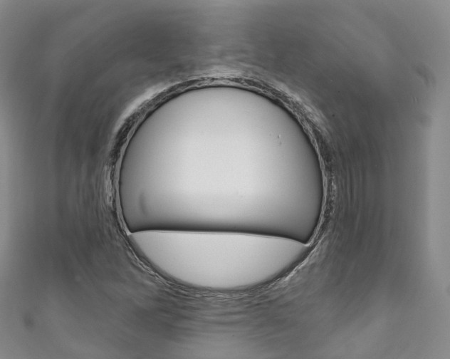 X0000111931262200907271023