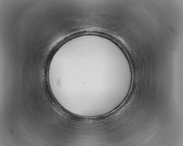 X0000111931263200907271023