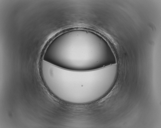 X0000111931264200907271023