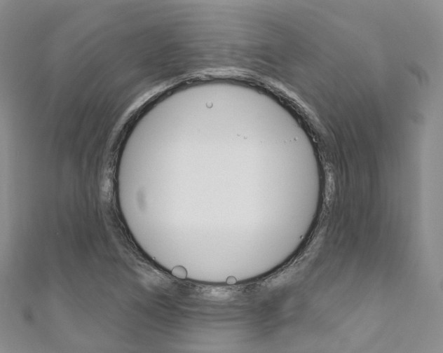 X0000111931266200907271023