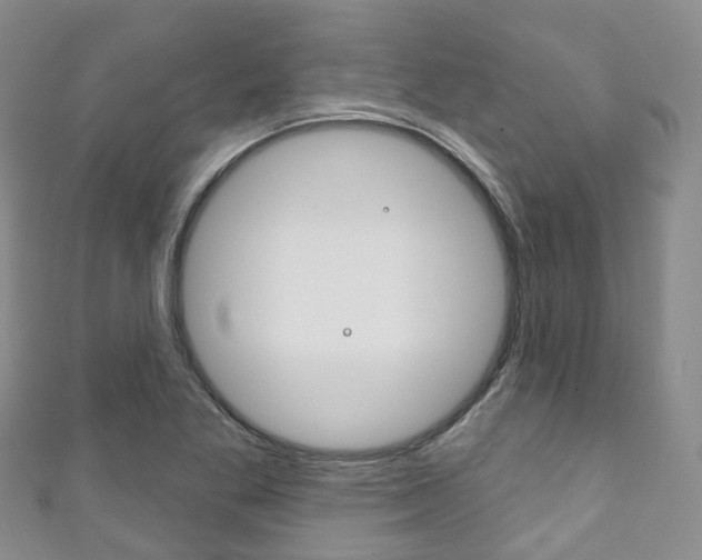 X0000111931269200907271023
