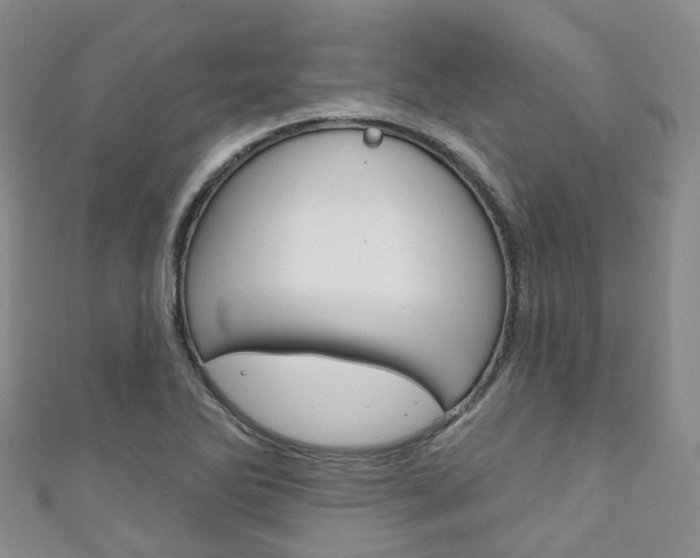 X0000111931270200907271023