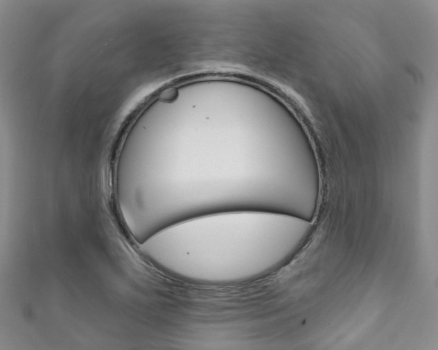 X0000111931271200907271023