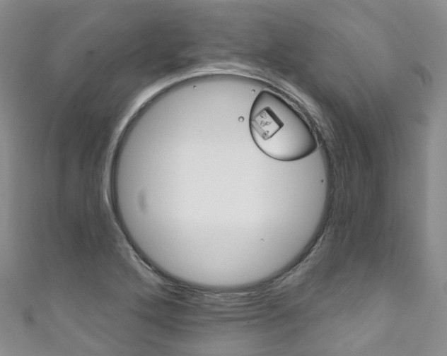 X0000111931272200907271023