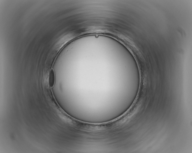 X0000111931273200907271022